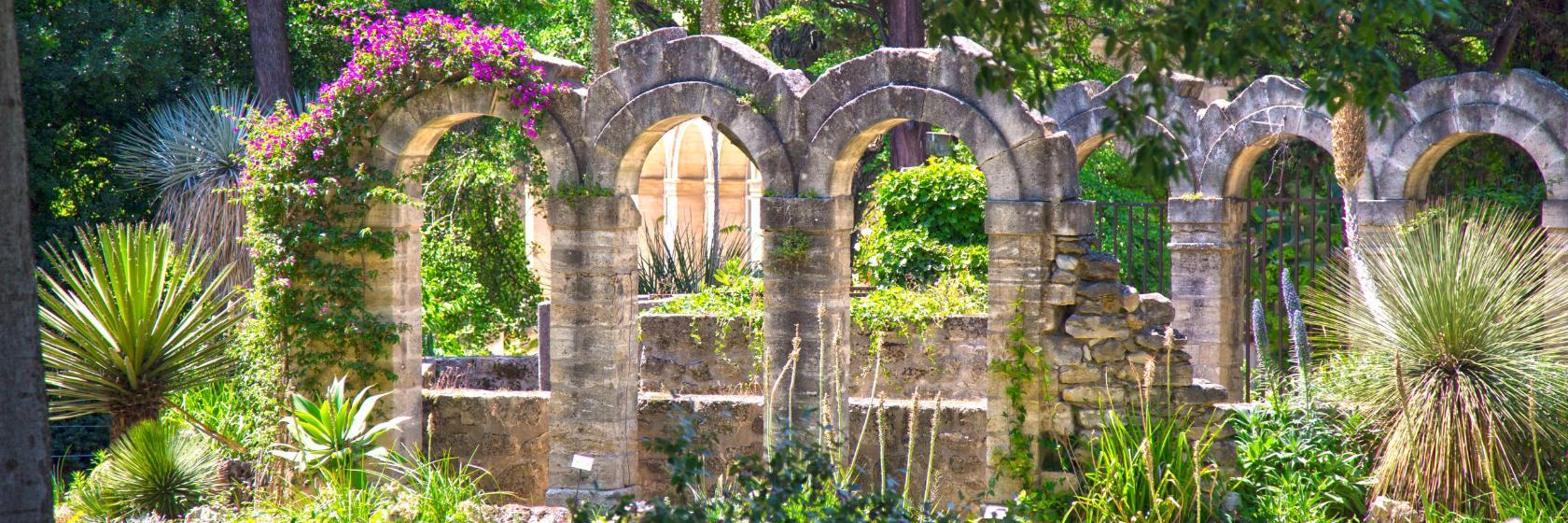 Hortus Botanicus van Montpellier